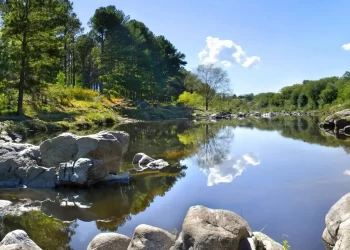 TRAGEDIA EN CÓRDOBA: UN HOMBRE SE LANZO DE CABEZA AL RÍO, SE GOLPEO Y PERDIÓ LA VIDA
