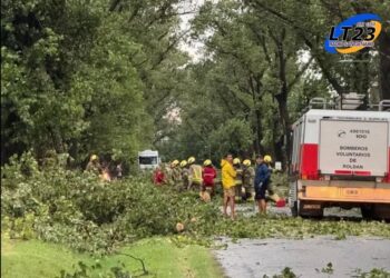 EL VIENTO ARRASÓ CON TODO EN ROLDÁN