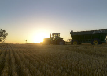 El 60% de los productores afirma que el presidente Milei cumplió con las expectativas del sector agropecuario