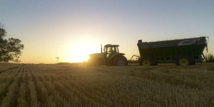 El 60% de los productores afirma que el presidente Milei cumplió con las expectativas del sector agropecuario