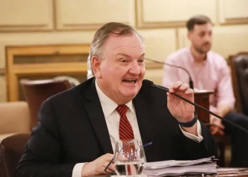 Michlig dijo que el 2025 será el año de la reforma constitucional y la obra pública