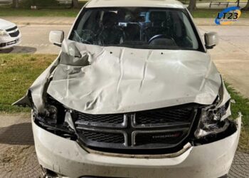 Totoras:  Una familia totorense chocó anoche en RN34 por animales sueltos.