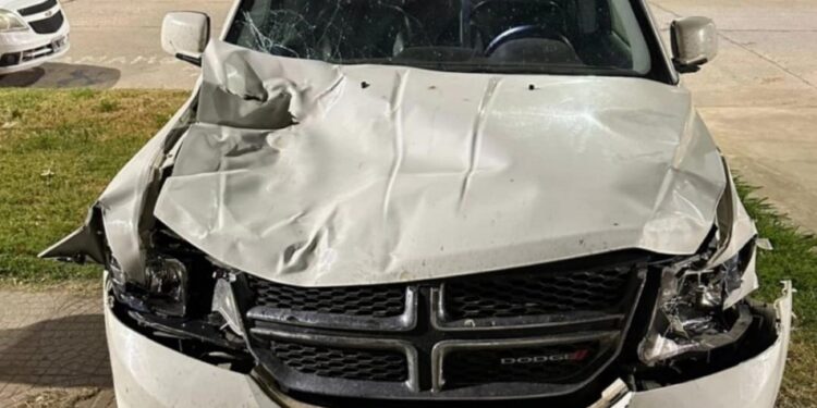 Totoras:  Una familia totorense chocó anoche en RN34 por animales sueltos.