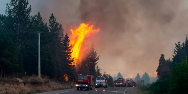 Detuvieron a tres personas por los incendios en El Bolsón