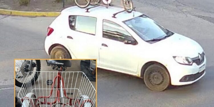 Funes: Detuvieron a un hombre que había robado una tricicleta gracias al sistema de monitoreo municipal