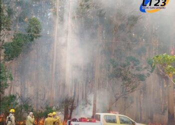 Incendios forestales afectan a la provincia de Corrientes