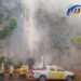 Incendios forestales afectan a la provincia de Corrientes