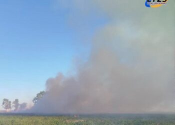 Incendio en un campo en Montes de Oca por quema de basura