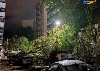 Una fuerte tormenta dejó numerosos árboles y postes caídos en Mar del Plata