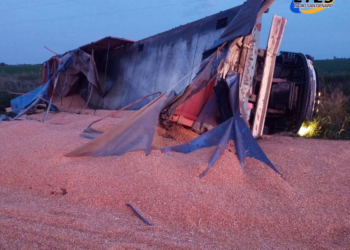Galvez: UN CAMIÓN VOLCÓ EN RUTA 80 Y PERDIÓ LA CARGA DE MAIZ.