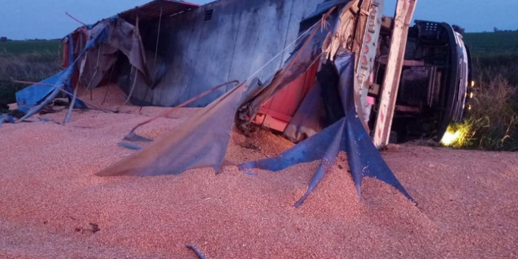 Galvez: UN CAMIÓN VOLCÓ EN RUTA 80 Y PERDIÓ LA CARGA DE MAIZ.