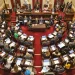 Ficha Limpia: el oficialismo logró darle media sanción al proyecto y ahora gira al Senado.