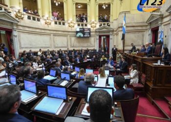 SIN PASO: EL SENADO APROBÓ LA SUSPENSIÓN DE LAS PRIMARIAS