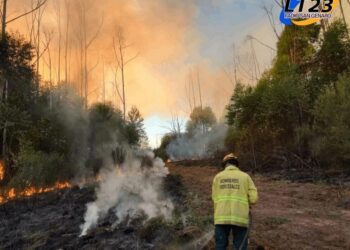 Incendios en Corrientes: se quemaron más de 200 mil hectáreas en lo que va de 2025