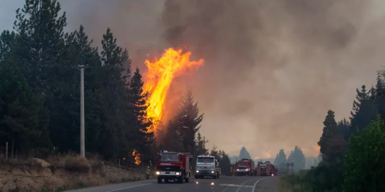 Alerta por gran incendio forestal en El Bolsón