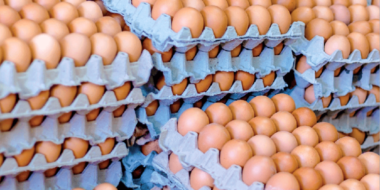 Argentina batió récords en producción y consumo de huevos durante 2024