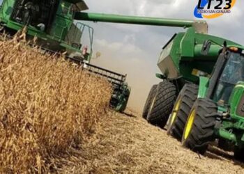 Arribó a Rosario el primer lote de soja de la campaña 2024/25