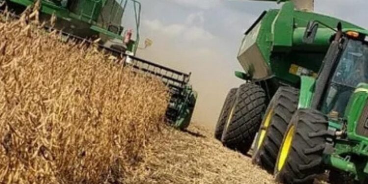 Arribó a Rosario el primer lote de soja de la campaña 2024/25