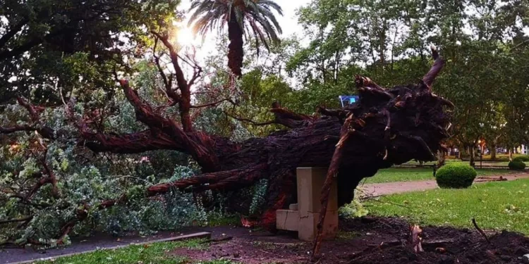 Casilda: HUBO UN FUERTE TEMPORAL SOBRE LA CIUDAD