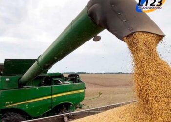 Tras la baja de retenciones el campo liquidó US$2.181 millones, un 5,2% más que en enero