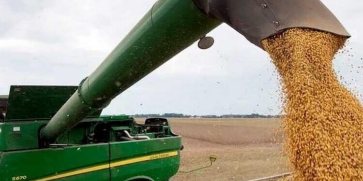 Tras la baja de retenciones el campo liquidó US$2.181 millones, un 5,2% más que en enero