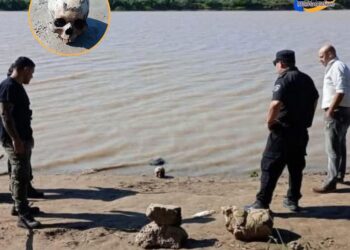 SAUCE VIEJO: HALLARON UN CRÁNEO HUMANO Y POSIBLES RESTOS ÓSEOS EN LA ORILLA DEL RÍO