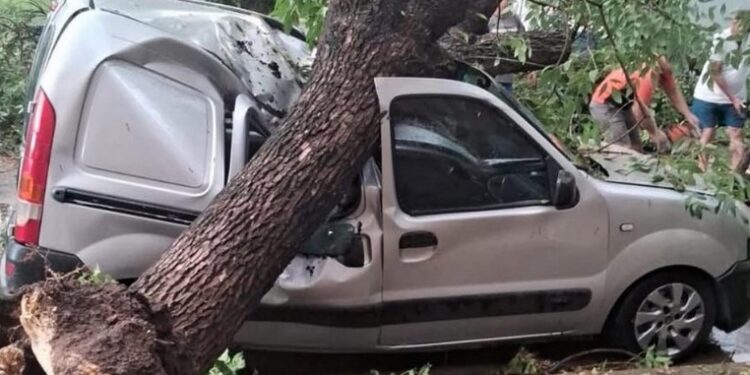 Casilda: LOS DESTROZOS POR RÁFAGAS DE MAS DE 100 KM/H EN LA CIUDAD