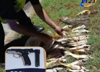 SECUESTRARON UNA PISTOLA CALIBRE 40 E INCAUTARON VARIAS PIEZAS ICTÍCOLAS EN RUTAS DE NUESTRA PROVINCIA
