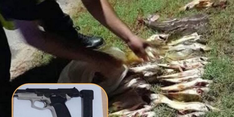 SECUESTRARON UNA PISTOLA CALIBRE 40 E INCAUTARON VARIAS PIEZAS ICTÍCOLAS EN RUTAS DE NUESTRA PROVINCIA