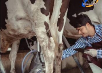 Nueva capacitación de la escuela de oficios de Iriondo: «El Profesional Tambero»