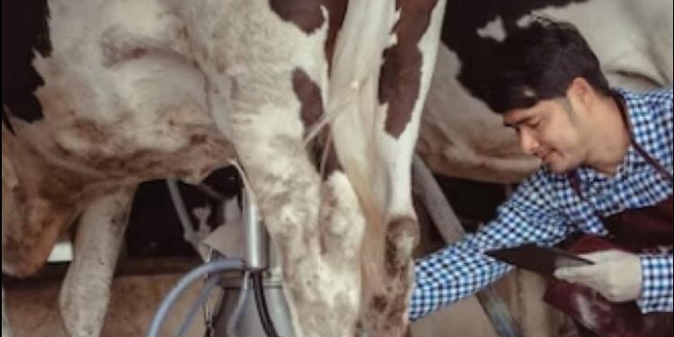 Nueva capacitación de la escuela de oficios de Iriondo: «El Profesional Tambero»