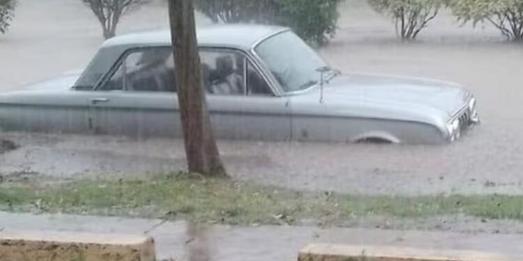 La tormenta azotó con granizo, lluvia y fuerte viento en el sur de Córdoba
