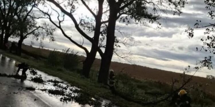 TORTUGAS BOMBEROS VOLUNTARIOS DE TORTUGAS INFORMAN QUE SOBRE RUTA NACIONAL N°9, EN LOS KMS. 404 Y 405, LA CALZADA SE ENCUENTRA AFECTADA POR CRUCE DE AGUAS.