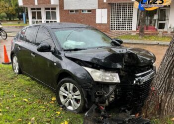 San Genaro: Un conductor perdió el control de su auto y chocó contra un árbol
