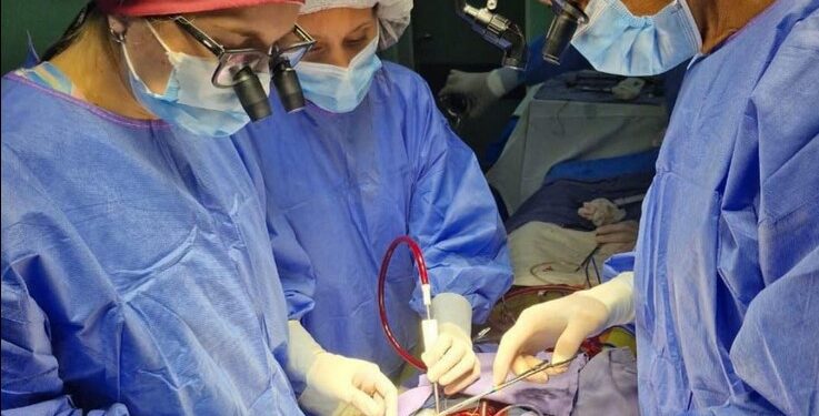 Cardiopatías congénitas: en el Hospital Cullen se realizó la primera cirugía de Ross a un paciente joven