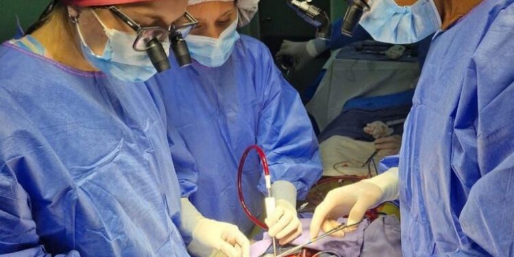 Cardiopatías congénitas: en el Hospital Cullen se realizó la primera cirugía de Ross a un paciente joven