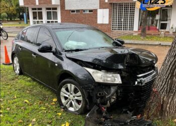 San Genaro: Un conductor perdió el control de su auto y chocó contra un árbol