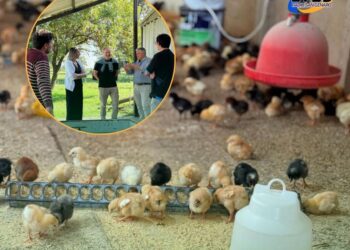 San Genaro: La gestión Municipal visitó al Centro de Multiplicación de Aves en el Centro de Educación Agropecuaria N°5 de San Genaro.