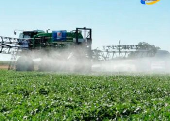 Piamonte: La Corte provincial confirmó un fallo por el daño genético que provoca el glifosato en la población