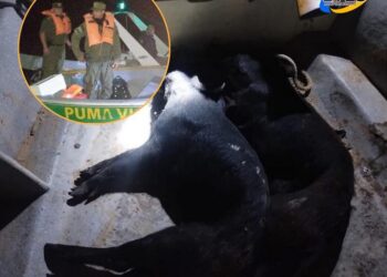 PROCEDIMIENTO CONTRA LA CAZA FURTIVA EN EL PARQUE NACIONAL ISLAS DE SANTA FE