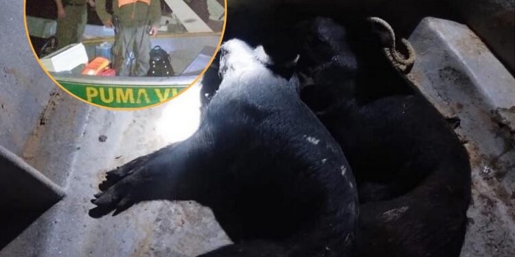 PROCEDIMIENTO CONTRA LA CAZA FURTIVA EN EL PARQUE NACIONAL ISLAS DE SANTA FE