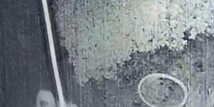 Montes de Oca: Robaron en tres propiedades