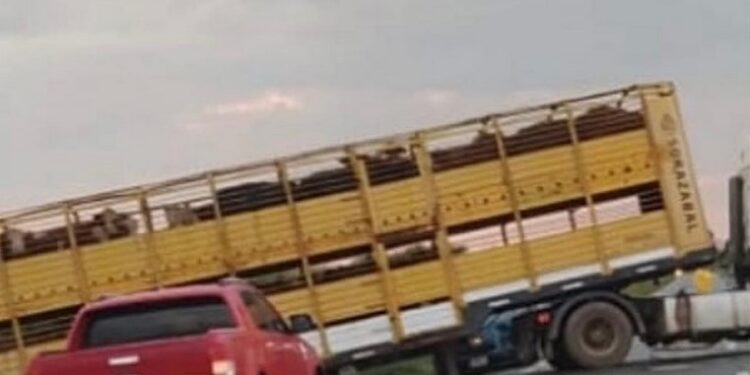 Arocena: Cuatro jóvenes de Barrancas heridos en siniestro vial