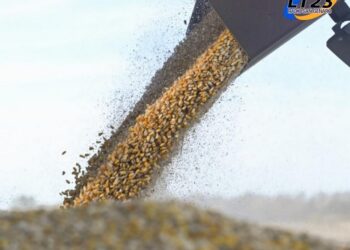 El Gobierno eliminó el RUCA para simplificar el comercio de granos