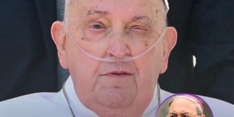 El Papa Francisco le encargó al cardenal Leonardo Sandri la conducción de la misa del Domingo de Ramos