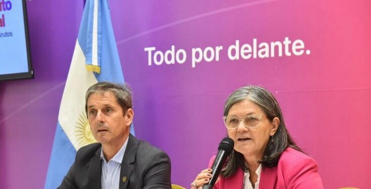 Alivio fiscal: los taxis y remises se suman al beneficio que otorga Provincia