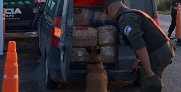 Autopista Rosario-Santa Fe: cuatro condenados por traficar 230 kilos de marihuana y decir que eran fideos