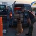 Autopista Rosario-Santa Fe: cuatro condenados por traficar 230 kilos de marihuana y decir que eran fideos