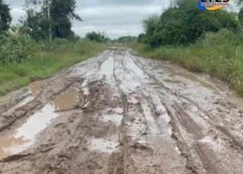 Fallo histórico: el cobro de la tasa por hectárea deberá justificarse con servicios prestados