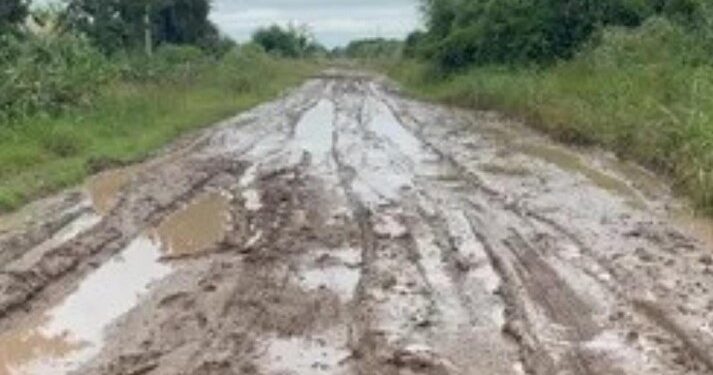 Fallo histórico: el cobro de la tasa por hectárea deberá justificarse con servicios prestados